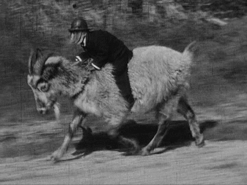 Monkey Rides a Goat Monkey Rides a Goat