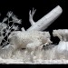 Allen and Patty Eckman - Boar thumbnail
