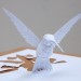 Peter Callesen - Hummingbird thumbnail