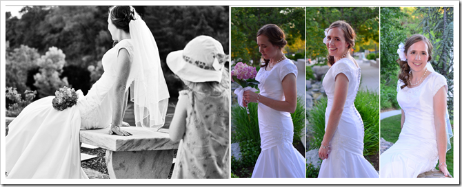 Bridal Veils Bridal Veils